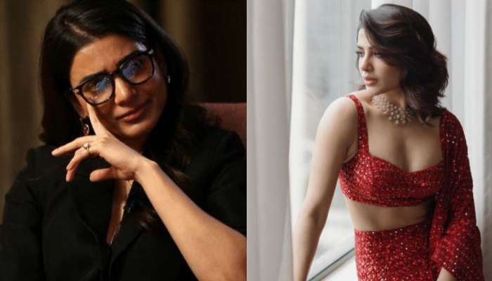 Samantha: ప్లీజ్ వెయిట్ తగ్గొచ్చుకదా.. నెటిజన్‌కు చుక్కలు చూపించిన సమంతా.. ఏమందో తెలుసా..?