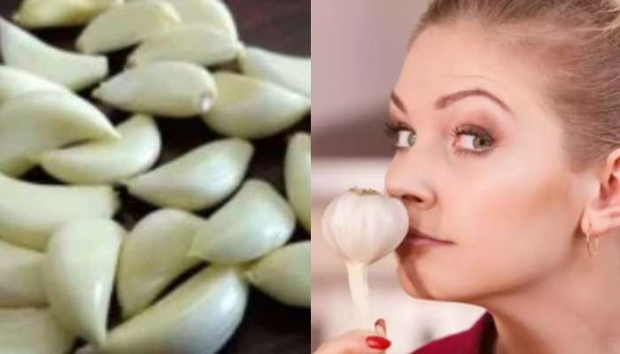 Garlic Benefits: అన్నం తినకముందు మూడు వెల్లుల్లి రెబ్బలు తింటే.. మీ శరీరంలో కలిగే మార్పులివే..