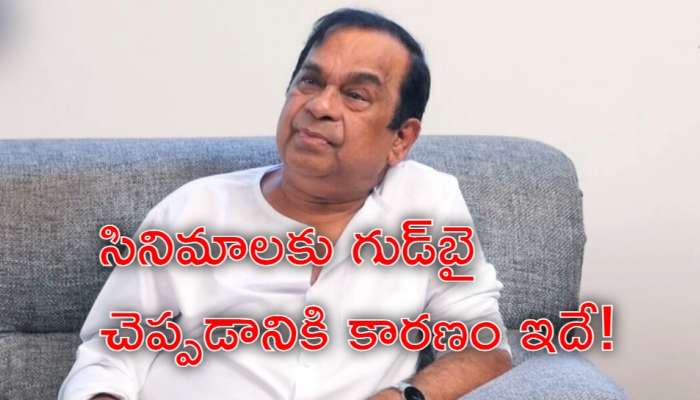 Brahmanandam: నేను సినిమాల్లో నటించకపోవడానికి కారణం వారే! బ్రహ్మానందం సంచలన వ్యాఖ్యలు