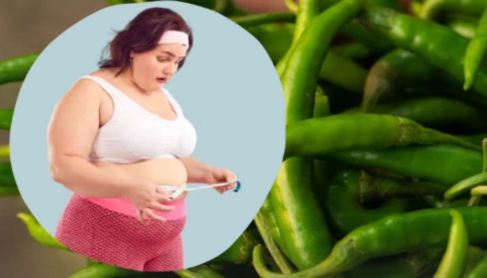 Green Chilli Benefits: బరువు తగ్గాలనుకునేవారు డైట్‌లో పచ్చి మిరపకాయలను తీసుకోవాలి