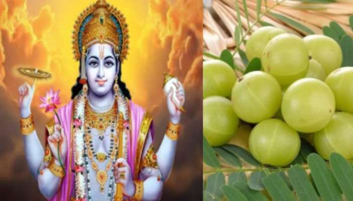 Amalaki Ekadashi: అమలకి ఏకాదశి ఎప్పుడు..?.. దీని విశిష్టత.. ఈ ఒక్కపనిచేస్తే జీవితంలో డబ్బులకు లోటు ఉండదు..!