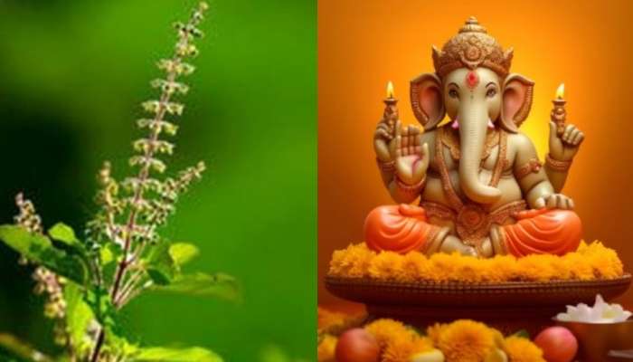 Vinayaka Chaturthi 2024:  వినాయక చవితి ఒక్కరోజే గణపతికి తులసీదళం.. మిగతరోజుల్లో నిషేధం.. ఈ శాపం గురించి తెలుసా..?