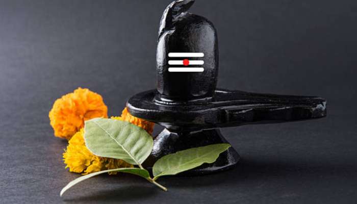 Shiva Puja: ఇంట్లో శివుడి లింగం ఏ పరిమాణంలో ఉండాలి.. రోజు అభిషేకం చేయాలా..?.. జ్యోతిష్యులు ఏమంటున్నారంటే..
