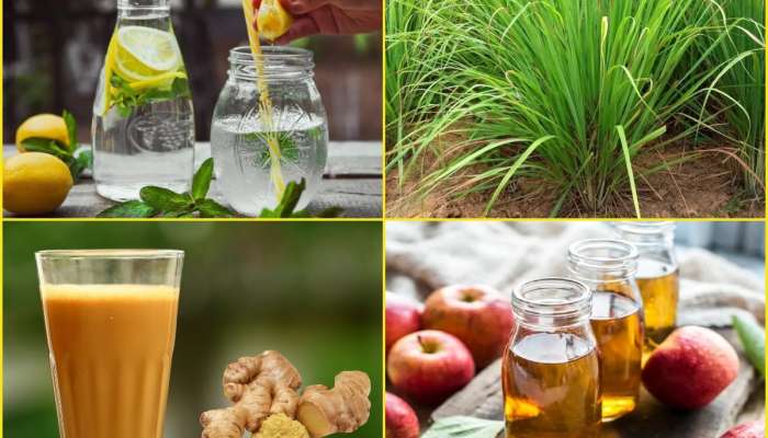 Healthy Drinks: మలబద్ధకం అత్యంత ప్రమాదకరం, పూర్తిగా నిర్మూలించే 5 డ్రింక్స్ 