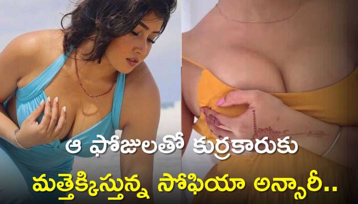 Sofia Ansari Latest Hot Pics: ఆ ఫోజులతో కుర్రకారుకు మత్తెక్కిస్తున్న సోఫియా అన్సారీ..