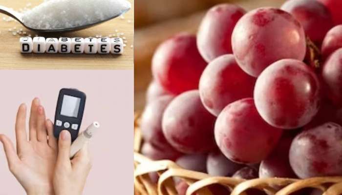 Diabetes Diet: ద్రక్ష పండు డయాబెటిస్‌ వాధ్యిగ్రస్తులకు ఎలా  సహాయపడుతుంది? 