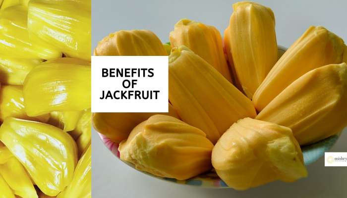 Jackfruit: పనస పండులో ఉండే అద్భుతాలు తెలిస్తే ఇక అస్సలు వదిలిపెట్టరు!