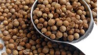 Coriander Water: యూరిక్ యాసిడ్ సమస్యకు ధనియా నీళ్లు అద్భుత పరిష్కారం