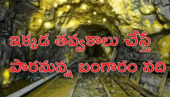 Gold Mines: భూమిలో దాగి ఉన్న కోటి 83 లక్షల కిలోల బంగారం? దాని విలువ ఎన్ని లక్షల కోట్లు?