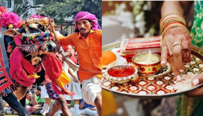 Kanuma Festival: కనుమ రోజు జర్నీ చేయాలా..?.. ఈ ఒక్క పనిచేస్తే చెడు ప్రభావం నుంచి బైటపడొచ్చంట..!