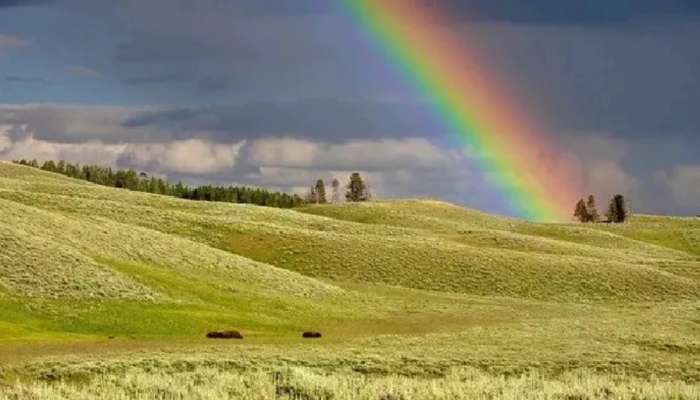 Rainbow In Dreams: మీ కలలో ఇంద్రధనస్సును చూశారా, దాని అర్థం ఏంటంటే