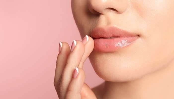 Lip Care Tips: గులాబీ రేకులు వంటి పెదవుల కోసం ఈ చిట్కాలు! 