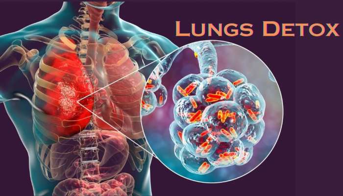 Lungs Detox: మీ లంగ్స్‌ను సహజసిద్ధంగా డీటాక్స్ చేసే అద్భుతమైన అలవాట్లు ఇవే