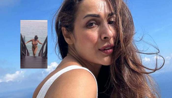 Malaika Arora Fitness: 50 ఏళ్ల వయస్సులోనూ 21 ఏళ్ల పడుచులా మలైకా అరోరా