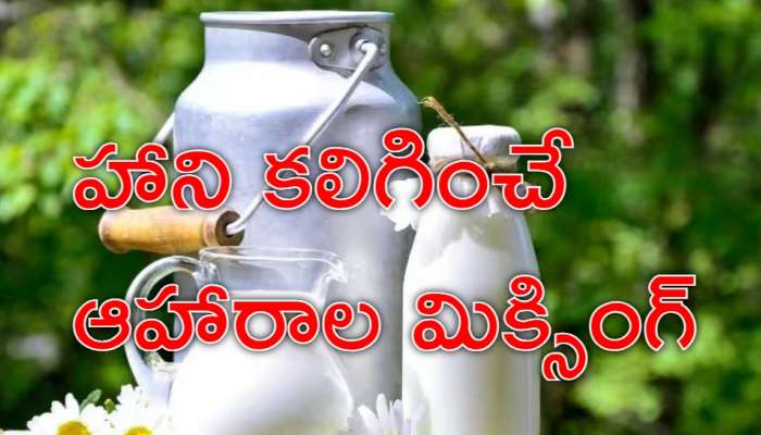 Milk Avoid Food: పాలతో ఈ ఆహార పదార్థాలను కలిపి తీసుకుంటే డేంజరే..! పదేళ్లు తగ్గినట్టే