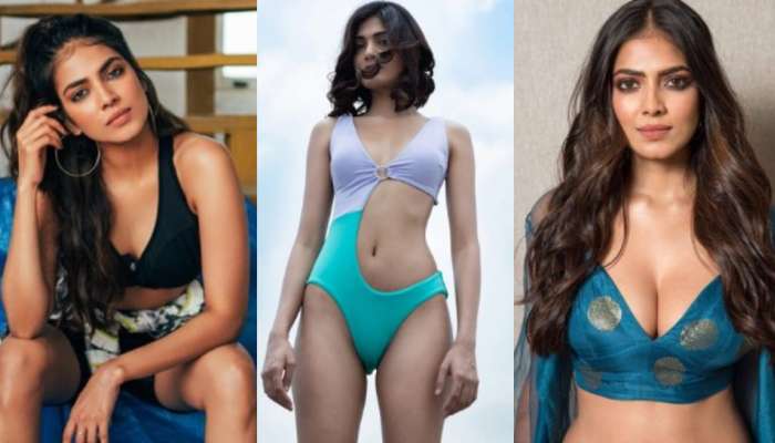 Malavika mohanan: నువ్వు వర్జీనా..?.. యంగ్ హీరోయిన్‌కు నెటిజన్ తింగరి ప్రశ్న.. తమిళ భామ రిప్లై ఏంటంటే..?