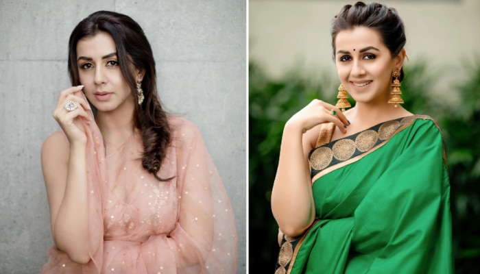 Nikki Galrani: నిక్కీ చీరకట్టు అందాలు చూశారా