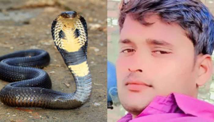 Snake Revenge: ఇదేక్కడి రీవెంజ్.. తోటి సర్పాన్ని చంపాడని కసితీరా కాటేసిన మరో పాము.. ఎక్కడ జరిగిందో తెలుసా..?..