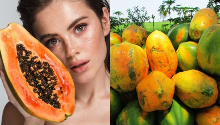 Papaya fruit: బొప్పాయితో ఈ ఫుడ్ ఐటమ్స్  అస్సలు తినకూడదు.. ఈ డెంజర్ లో పడ్డట్లే..