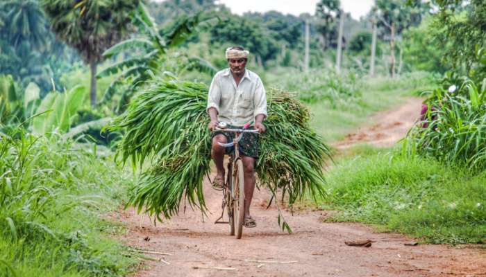 Farmers pension scheme: ఈ ఒక్క పని చేయండి చాలు..ప్రతినెలా రూ. 3,000 పొందే ఛాన్స్