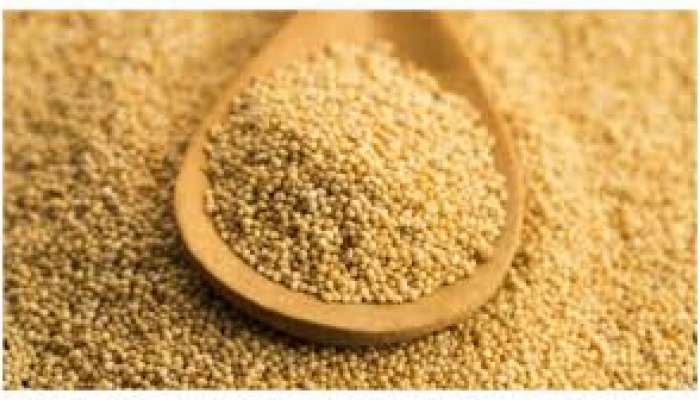 Poppy Seeds: గసగసాలతో గంపెడు లాభాలు పొందవచ్చని మీకు తెలుసా??