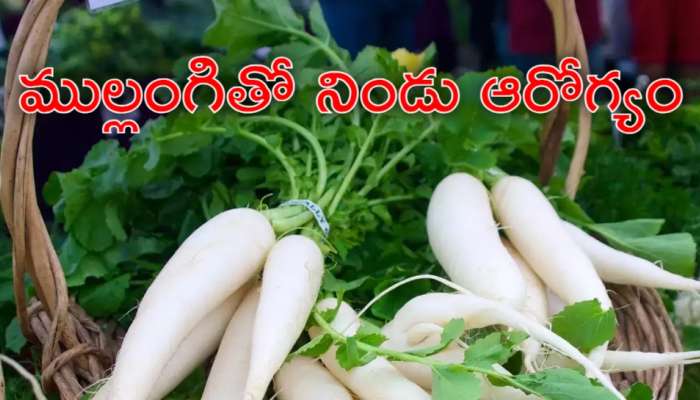 Radish Benefits: అసహ్యించుకున్నా సరే ముల్లంగిని తినండి.. అద్భుతమైన ఆరోగ్య ప్రయోజనాలు