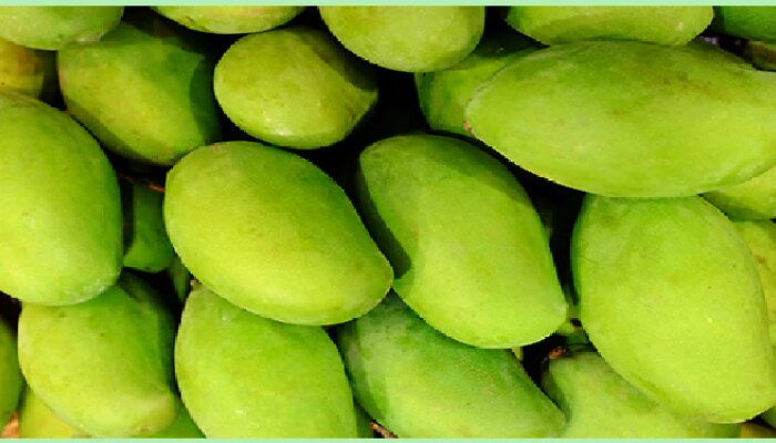 Raw Mango Benefits: పచ్చి మామిడి తింటే డయాబెటిస్ తగ్గిపోతుందా