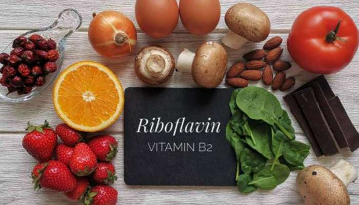 Riboflavin Rich Foods: మీ డైట్‌లో ఈ ఫుడ్స్ ఉంటే ఇక విటమిన్ బి2, బి3, బి4, బీ6 కొరత లేనట్టే