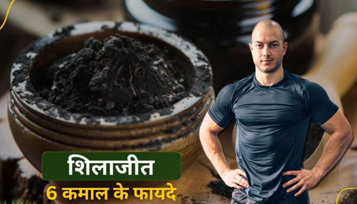 Shilajit Remedy: మగవారి లైంగిక సామర్థ్యంతో పాటు ఈ సమస్యల్ని తీర్చే రెమిడీ