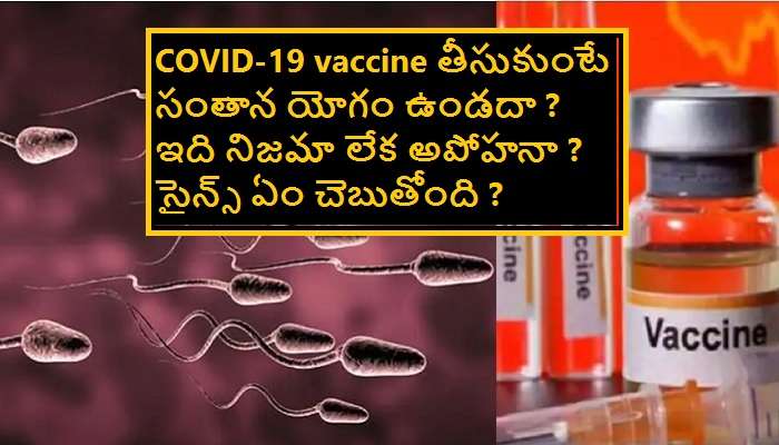 COVID-19 vaccine తీసుకుంటే ఇక పిల్లలు పుట్టరా ?