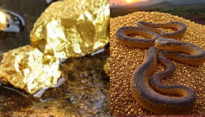 Venomous Snakes: కోట్ల కొద్దీ బంగారు గనులకు విషపూరిత పాములు కాపలా.. విస్తుగొలిపే నిజాలు