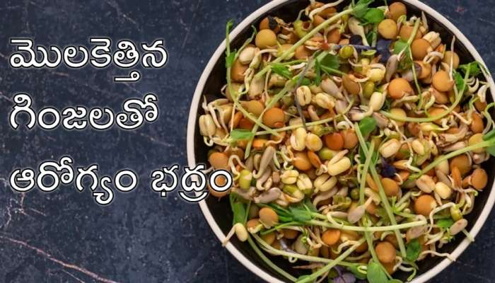 Sprouted Grains: గుప్పెడు మొలకెత్తిన గింజలతో గుండె ఆరోగ్యం భద్రం