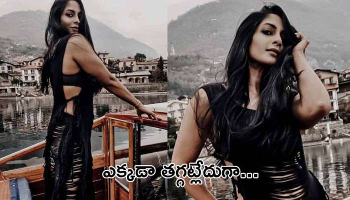 Sriya Reddy Hot Photos: అందాలన్నీ కనిపించేలా హీరో విశాల్ వదిన హాట్ ట్రీట్.. 