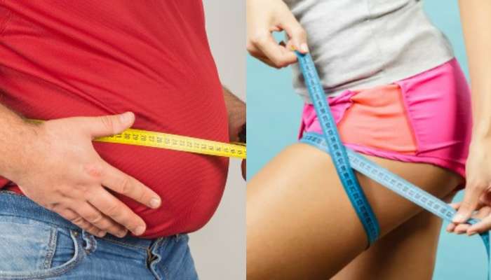 Belly Vs Thigh Fat: పొట్ట దగ్గర కొవ్వు వర్సెస్ తొడ చుట్టు అధిక కొవ్వు.. వీటిలో ఏది ఎక్కవ డెంజరో తెలుసా..?