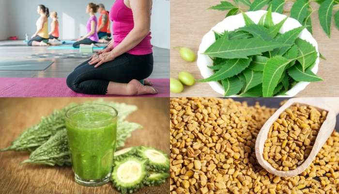 Health Tips: ఈ చిన్న చిట్కాలను పాటించండి.. మీ షుగర్ లెవెల్ 400 నుండి 100కి రావడం పక్కా గ్యారంటీ..!