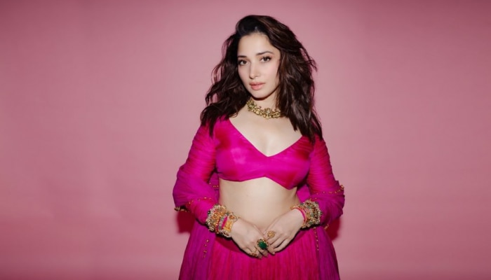 Tamannaah Bhatia: దీపావళి కాంతులను ముందుగానే తెచ్చేసిన తమన్న.. పింక్ లో పిచ్చెక్కిస్తున్న మిల్క్ బ్యూటీ 