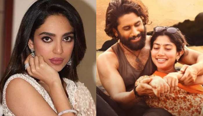 Sobhita Dhulipala: తండేల్ మూవీ రిలీజ్.. నీ  నిజస్వరూపం ఇప్పుడు బైటపడుతుందన్న శోభిత.. మ్యాటర్ ఏంటంటే..?