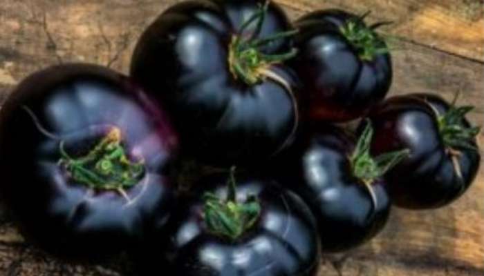 Black tomatoes: నల్ల టమాటాలు కన్పిస్తే ఖచ్చితంగా తీసుకొండి.. దీని లాభాలు తెలిస్తే నోరెళ్ల బెడతారు..