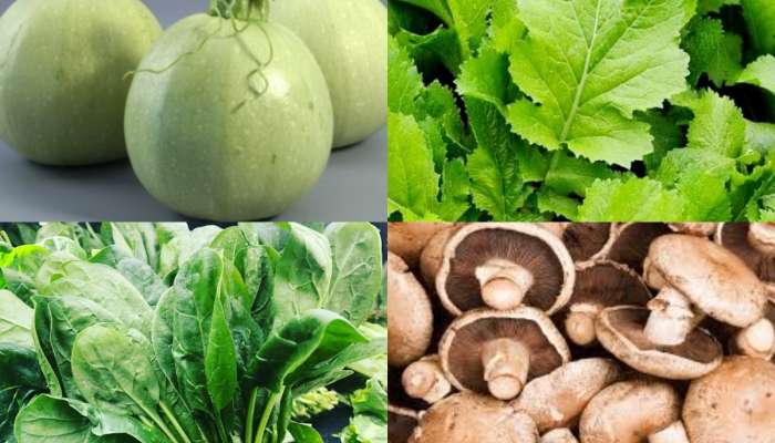 Vitamin B12 Rich Foods: విటమిన్ బి12 లోపం సరిచేసే బెస్ట్ వెజిటేరియన్ ఫుడ్స్ ఇవే