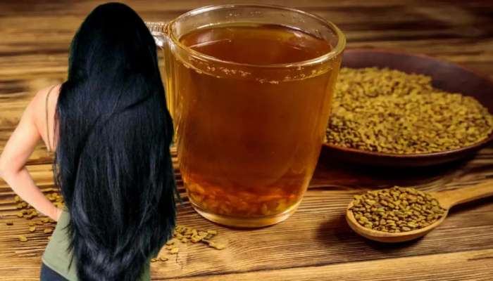 White Hair Home Remedies: ఇవి నానబెట్టిన నీళ్లు తాగితే కేవలం 4 వారాల్లో శాశ్వతంగా జుట్టు నల్లబడటం ఖాయం