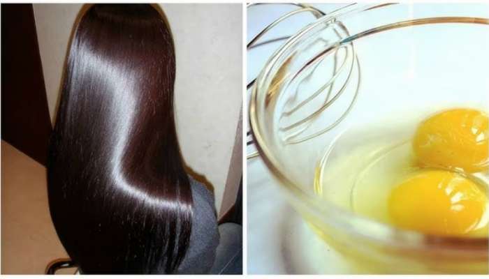 Hair Care Tips: తెల్లజుట్టుపై కోడిగుడ్డు రసం వేస్తే ఏం జరుగుతుంది?