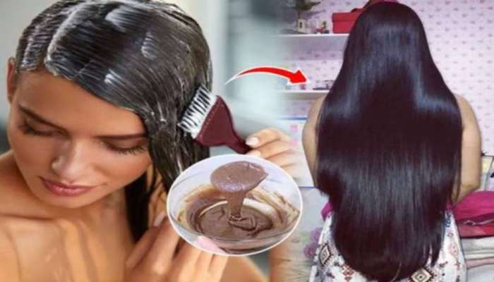 White Hair Tips: ఈ ఒక్కటీ కలిపితే తెల్ల జట్టు శాశ్వతంగా నిగనిగలాడే నలుపు రంగులోకి