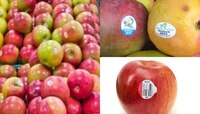 Why Fruit Stickers: మార్కెట్‌లో ఎప్పుడైనా గమనించారా? పండ్లపై స్టిక్కర్లు ఎందుకని?