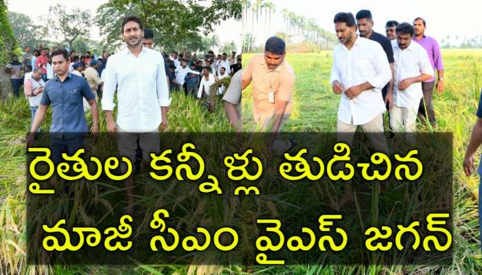 YS Jagan: కన్నీళ్లు తుడుస్తూ.. రైతుల కోసం బురదలోకి దిగిన మాజీ సీఎం వైఎస్‌ జగన్‌