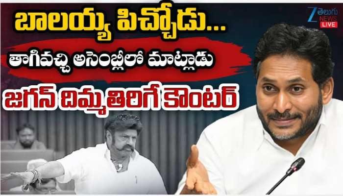 YS Jagan: టీడీపీ ఎమ్మెల్యే బాలకృష్ణ ఓ తాగుబోతు? వైఎస్‌ జగన్‌ సంచలన వ్యాఖ్యలు
