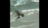 Eagle Carrying Shark: సొరచేపను ఎత్తుకెళ్లిన గద్ద..వైరల్ వీడియో చూడండి