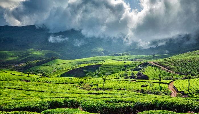 Munnar as summer destination