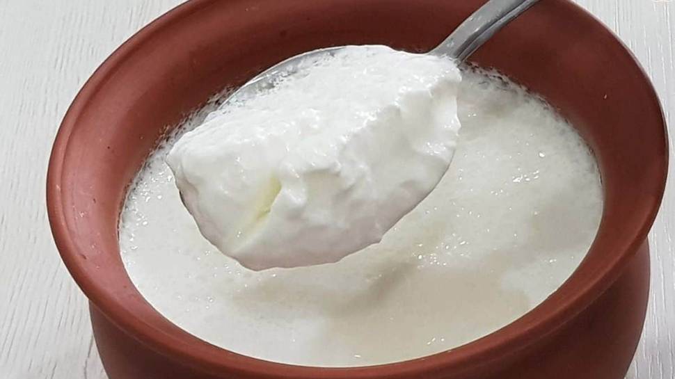 Curd During Fasting Advantages