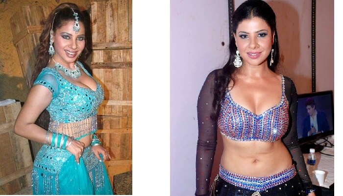 television-actresses-who-romanced-in-B-grade-films-payal-rohtagi-sambhavana-seth-shama-sikander-urvashi-dholakia-to-sana-khan.jpg