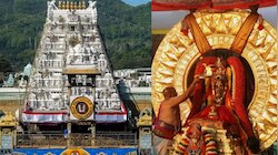 Ratha Saptami In Tirumala: రథసప్తమి రోజు మినీ బ్రహ్మోత్సవం.. భక్తులకు టీటీడీ  కీలక సూచనలు..